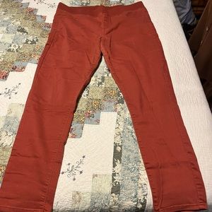 Rust Color Jeggings